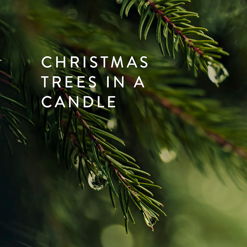 Thymes Pine Needle Frasier Fir Candle - 6.5 Oz Home & Garden > Decor > Home Fragrances > Candles Thymes   