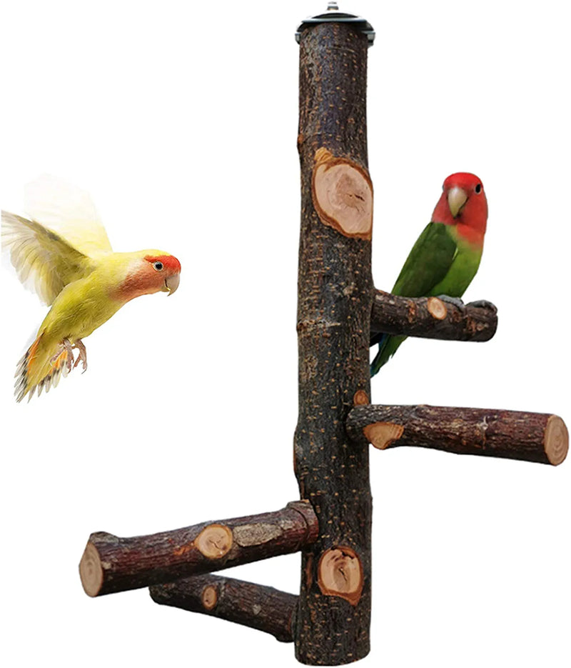 Kathson Parrots Perch Natural Fruit Wood Stand Toy Branch Paw Grinding Standing Climbing Toy Cage Accessories for Small and Medium Birds,Parakeets,Lovebirds,African Grey,Cockatiels