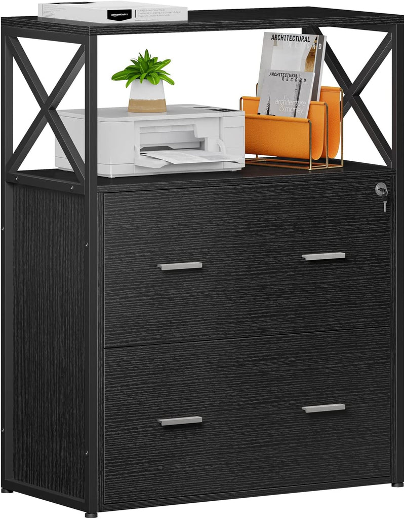 Raybee Filing Cabinet for Home Office Lateral File Cabinet with 2 Wood Drawers, Office Printer Stand with Lock Storage Cabinet for Letter, A4, Legal Size File Folders, 15.8"D X 31.5"W X 40.6"H, Black Home & Garden > Household Supplies > Storage & Organization Raybee   