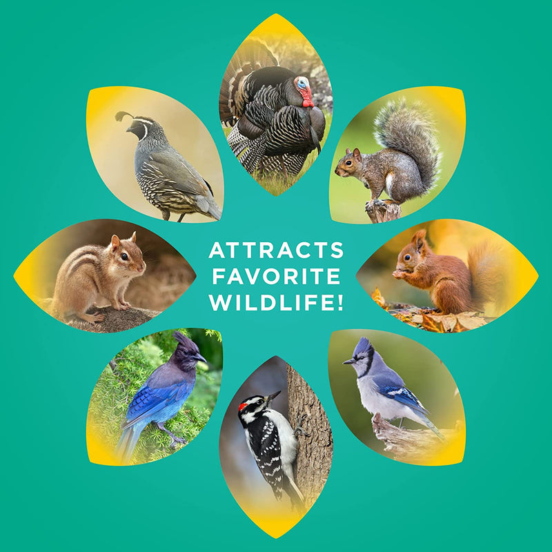 Audubon Park 12234 Critter Crunch Wild Bird and Critter Food, 5-Pounds Animals & Pet Supplies > Pet Supplies > Bird Supplies > Bird Food Audubon Park   