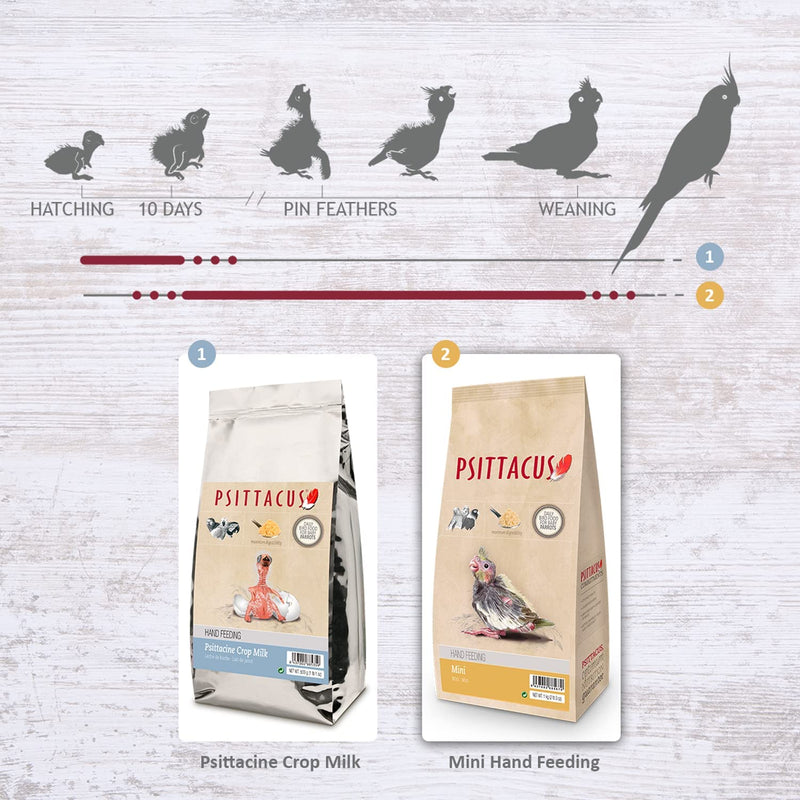 Psittacus Mini Hand-Feeding Formula 1 Kg | Diet for Baby Cockatiels, Conures and Galah Cockatoo | Premium Food for Birds, 100% No-Gmo Animals & Pet Supplies > Pet Supplies > Bird Supplies > Bird Food Psittacus   