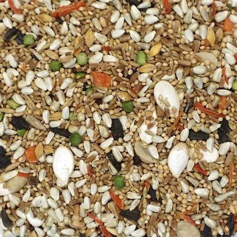 Sweet Harvest Conure and Lovebird Bird Food, 4 Lbs Bag - Seed Mix for Conures and Lovebirds Animals & Pet Supplies > Pet Supplies > Bird Supplies > Bird Food Sweet Harvest   