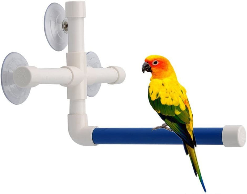 Bird Parrot Stand Perch Shower Perch Standing Toy Portable Suction Cup Parrot Bath Stands Suppllies Holder Platform Parakeet Window Wall Hanging Play (2 Suction Cups Green) Animals & Pet Supplies > Pet Supplies > Bird Supplies > Bird Toys Peety 3 Suction Cups1  