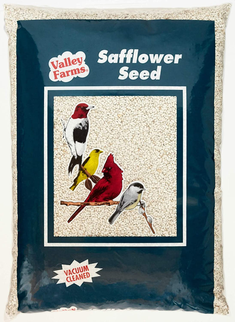 Valley Farms Safflower Seed Wild Bird Food - Attract Cardinals & Titmice! (4 LBS Pack of 1) Animals & Pet Supplies > Pet Supplies > Bird Supplies > Bird Food Truffa Seed Co., Inc.   