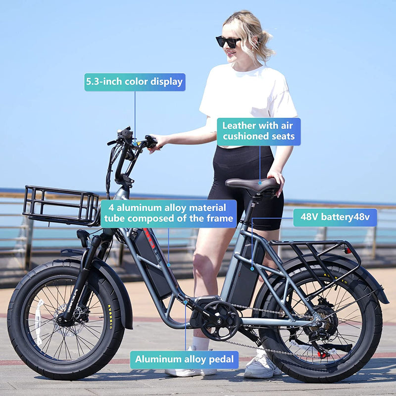 Fucare Electric Bike, Gemini/Gemini X Electric Bike for Adults,750W 48V 20.8Ah Dual Battery,31Mph Max Speed,70-80 Miles,5.3" Waterproof Display,20''×4.0'',Shimano 7 Speed,All Terrain Electric Bike Sporting Goods > Outdoor Recreation > Cycling > Bicycles Fucare   
