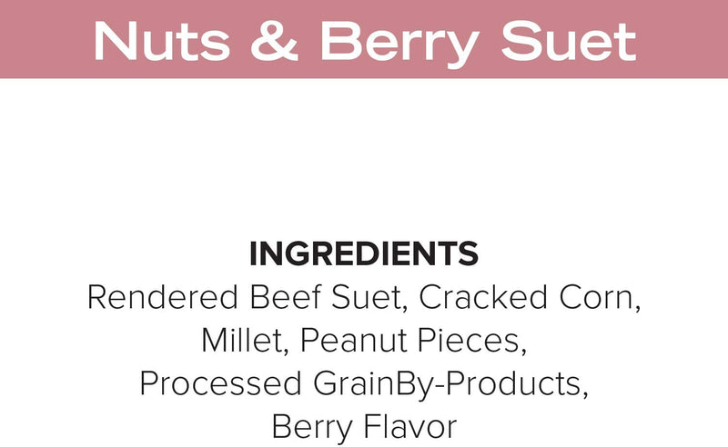 Blue Seal Nuts & Berry Suet Cake | No Mess Wild Bird Suet | 11 Oz (12 Pack) Animals & Pet Supplies > Pet Supplies > Bird Supplies > Bird Food KENT   