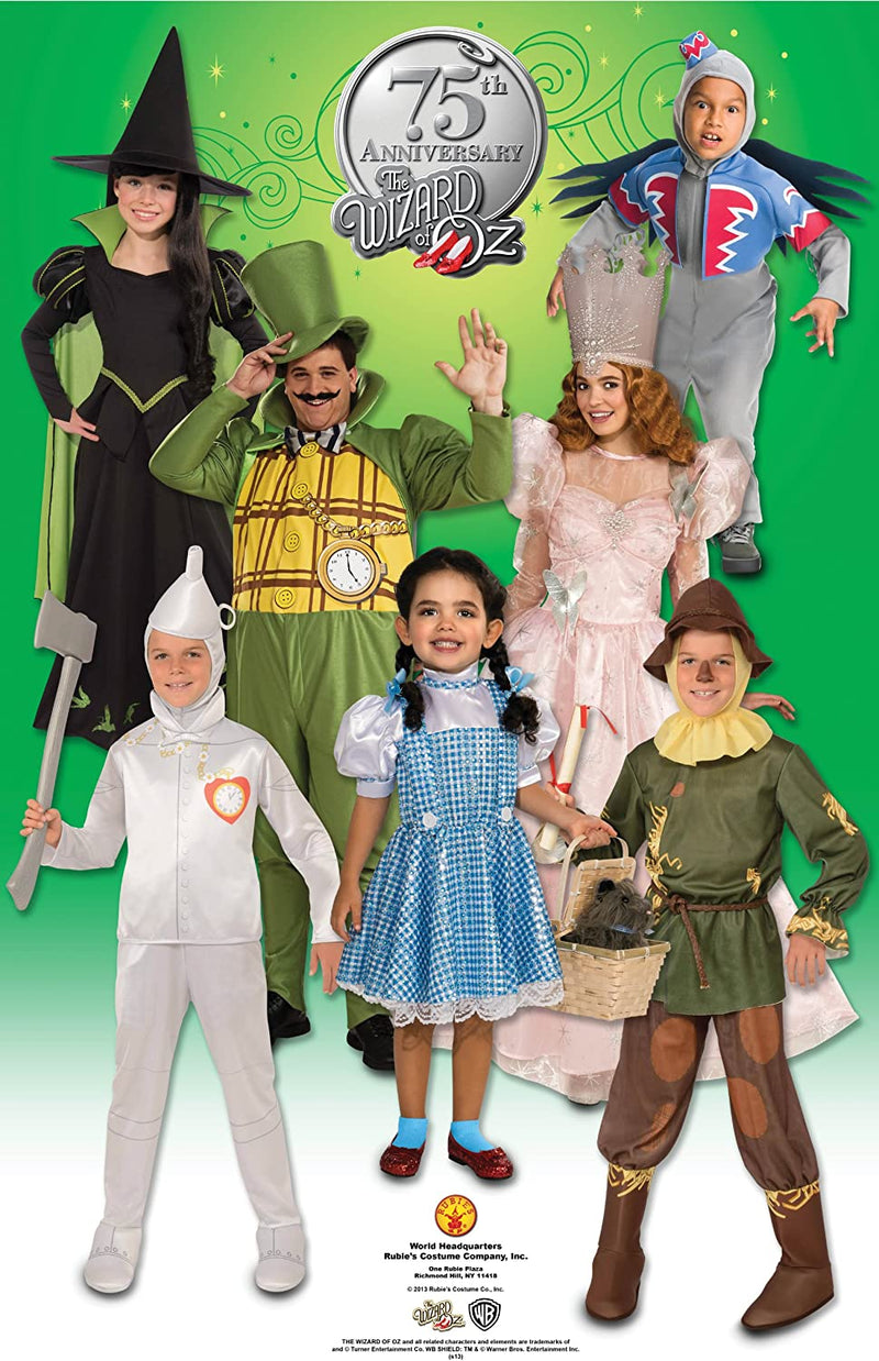 Wizard of Oz Halloween Sensations Scarecrow Costume (75Th Anniversary Edition)