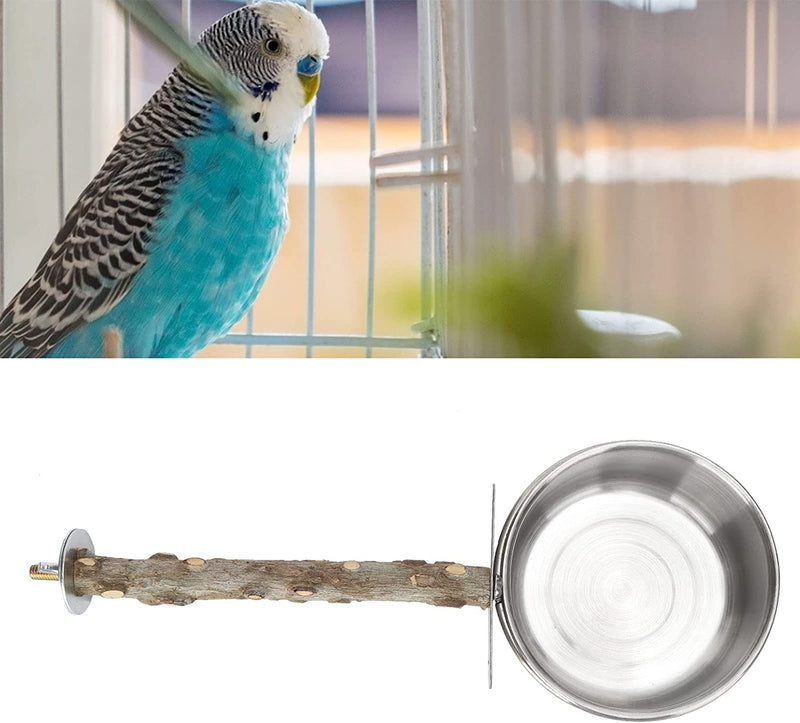 Bird Feeder, Stainless Steel Parrot Feeding Cup with Wood Stand Perch for Parakeet Conure Cockatiels Lovebird Budgie(L) Feeding & Watering Supplies Animals & Pet Supplies > Pet Supplies > Bird Supplies > Bird Cage Accessories > Bird Cage Food & Water Dishes GLOGLOW   