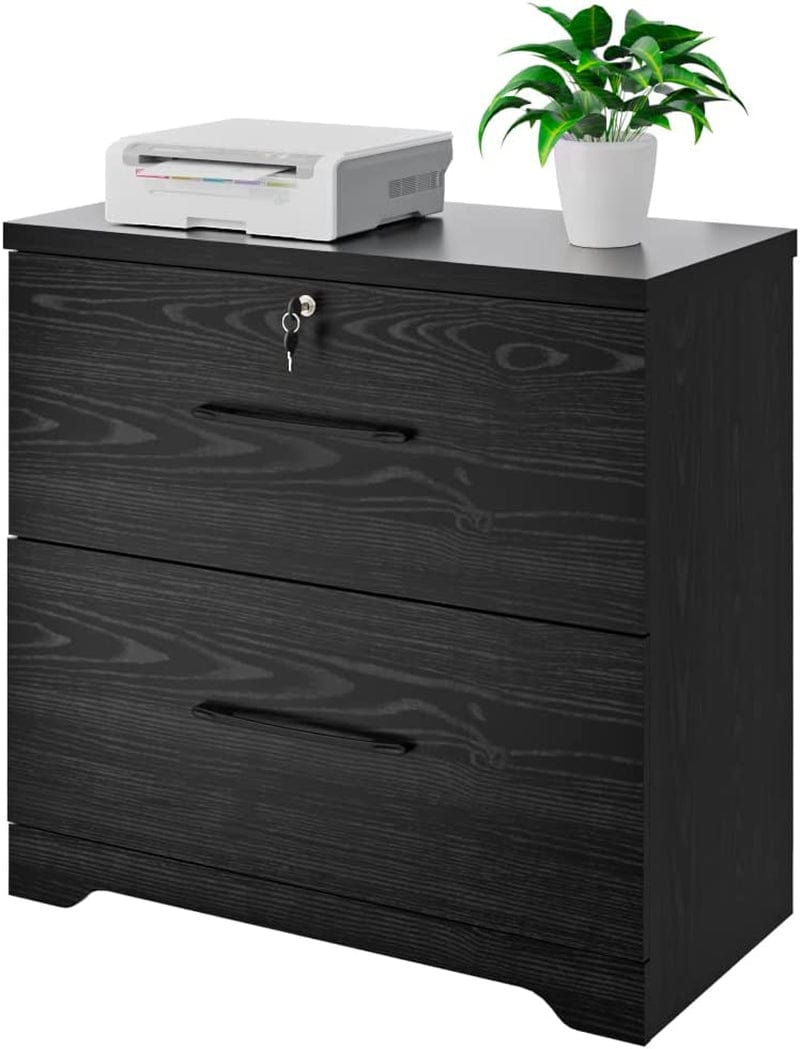 2 Drawer Wood Lateral File Cabinet with Lock, Home Office Storage Filing Cabinet with Anti-Tilt Mechanism with 8 Hanging Bars for Letter/Legal Size Heightened Drawer Side (Black) Home & Garden > Household Supplies > Storage & Organization Panana Black  
