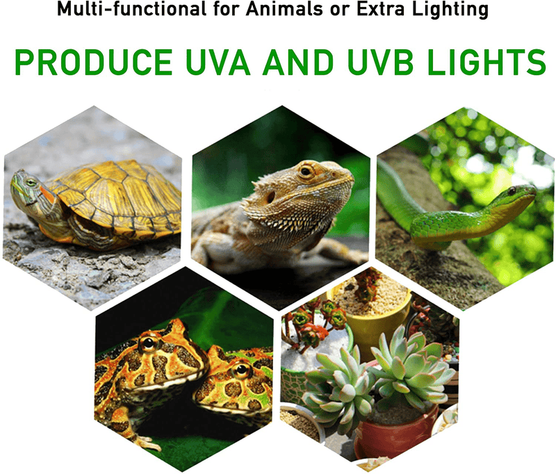 2-Pack 25W UVA UVB Lamp Lights with Bulbs | Heat and Light for Reptiles and Amphibian Tanks, Terrariums and Cages | Adjustable and Rotates 360° | Clip or Hang Light | Works with Various Light Bulbs Animals & Pet Supplies > Pet Supplies > Reptile & Amphibian Supplies > Reptile & Amphibian Habitat Heating & Lighting CALPALMY   