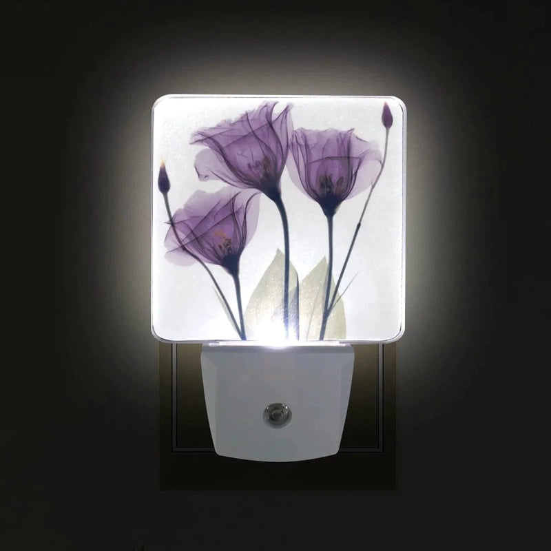 2 Pack Plug-In LED Night Light Lamp with Light Sensor, Lavender Hope Flowers Daylight White for Bedroom, Bathroom, Hallway, Stairways, 0.5W, Purple