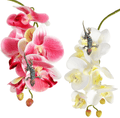 2 Pieces Artificial Phalaenopsis with Suction Cups Terrarium Plant Decoration Reptile Habitat Plant Decor for Hermit Crab Lizards Geckos Snake Reptile Animals & Pet Supplies > Pet Supplies > Reptile & Amphibian Supplies Chuangdi Dark Pink, White Yellow  