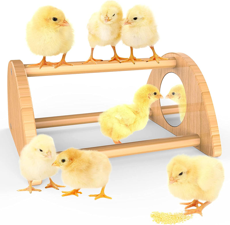 Ensayeer Bamboo Chicken Perch with Mirror, Strong Roosting Bar for Coop and Brooder, Training Perch for Large Bird, Hens, Parrots, Macaw, Easy to Assemble and Clean, Fun Toys for Chicken Animals & Pet Supplies > Pet Supplies > Bird Supplies Ensayeer 7.1 inch  