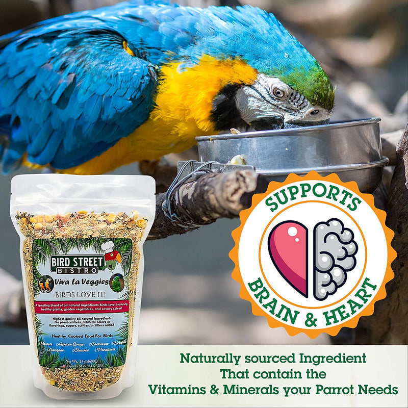 Bird Street Bistro Parrot Food Sample 4 Pack - Parakeet Food - Cockatiel Food - Bird Food - Cooks in 3-15 Min W/ Natural & Organic Grains - Healthy, Non-Gmo Fruits, Healthy Orientated Spices Animals & Pet Supplies > Pet Supplies > Bird Supplies > Bird Food Bird Street Bistro   