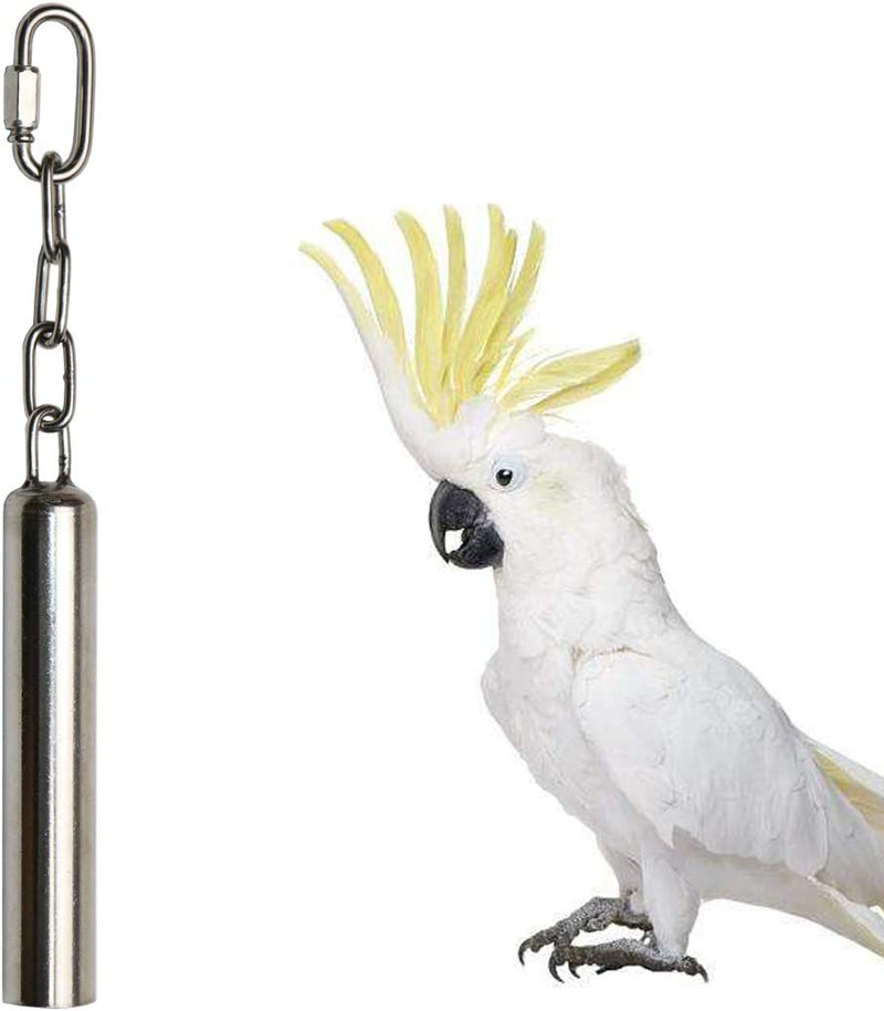 Stainless Steel Bells Toy for Bird Parrot Macaw African Greys Eclectus Cockatoo Parakeet Cockatiels Birds Squirrel Cage Stand (S) Animals & Pet Supplies > Pet Supplies > Bird Supplies > Bird Toys Hypeety L-8.45 inch  