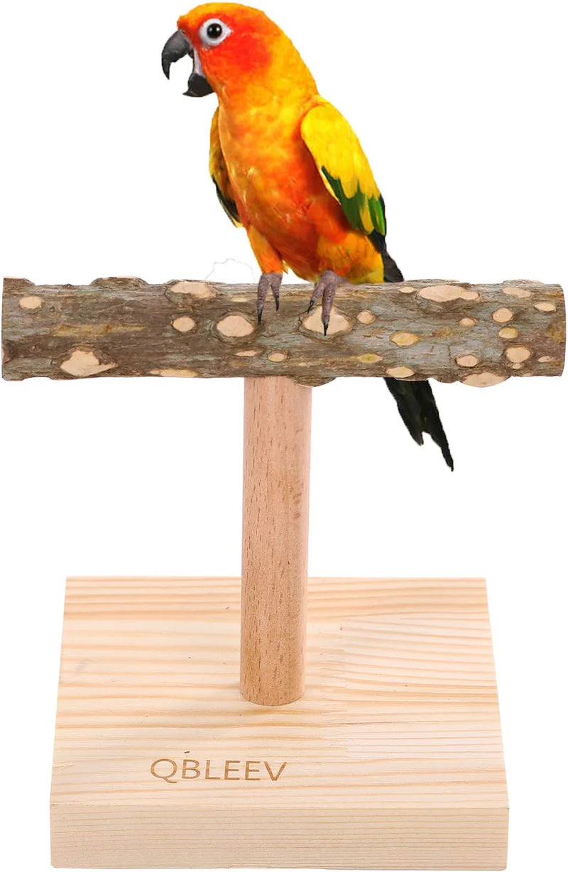 QBLEEV Bird Tabletop Training Stand Perch，Portable Parrot Tee Play Stands, Natural Wood Bird Cage Toys Gym Playground for Small Medium Parakeets Cocktails Conures Lovebirds Finch (Small) Animals & Pet Supplies > Pet Supplies > Bird Supplies QBLEEV   