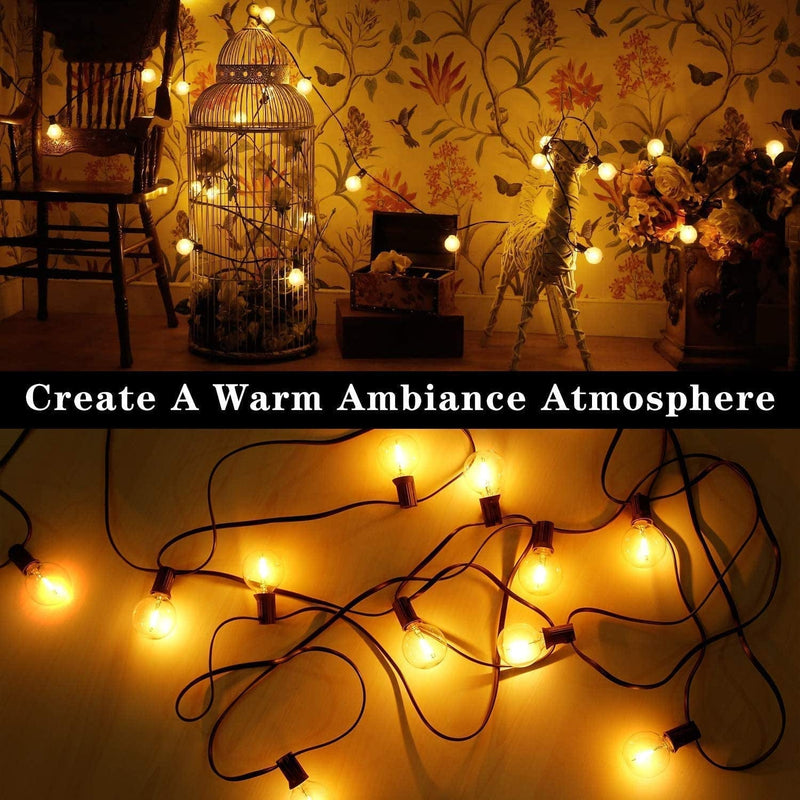 25Ft Globe Led String Lights Waterproof Shatterproof, Connectable Hanging Patio String Lights with 25 LED Plastic Clear Bulbs, Outdoor Indoor Lights for Room Café Bistro Pergola Tents, Black Wire