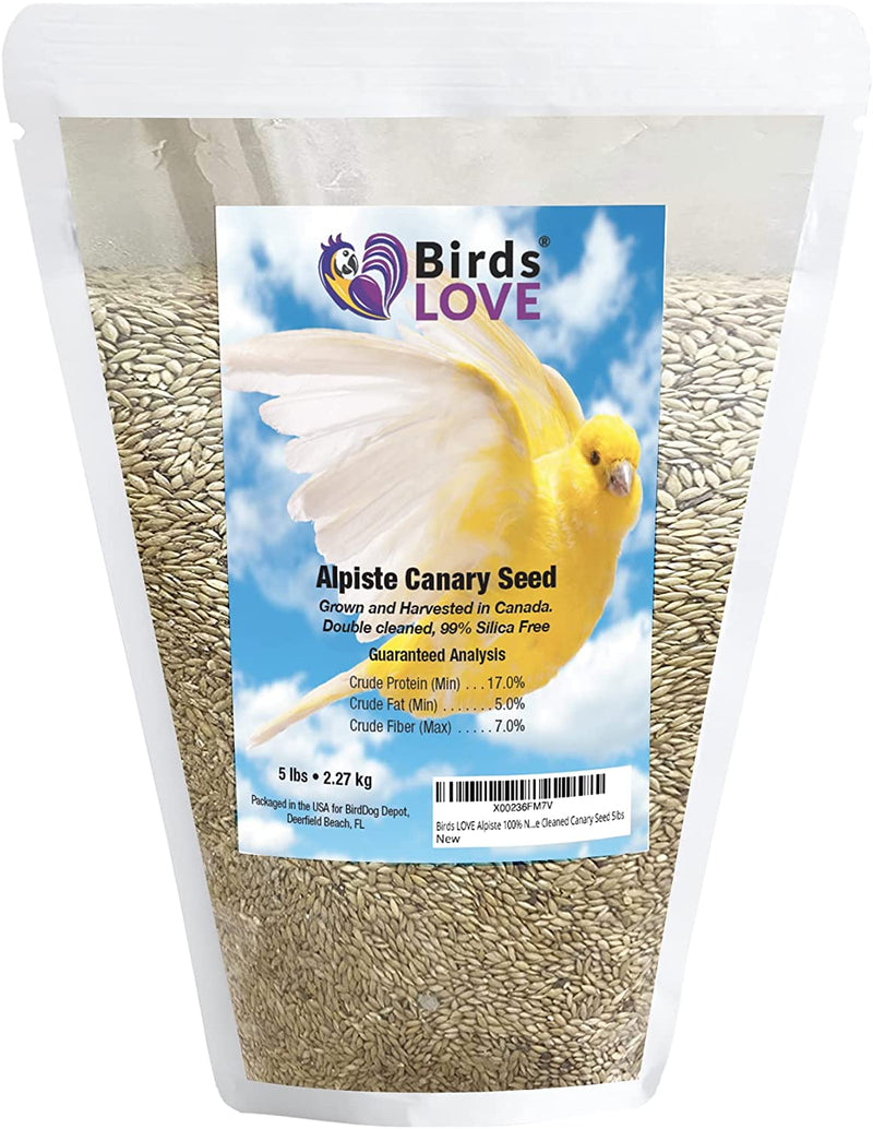 Birds LOVE Alpiste 100% Non-Gmo Double Cleaned Canary Seed 5Lbs | Canary and Finch Bird Seed with No Fillers or Additives | Bird Food Ideal for Canaries, Finches, Parakeets, Conures, and Budgies