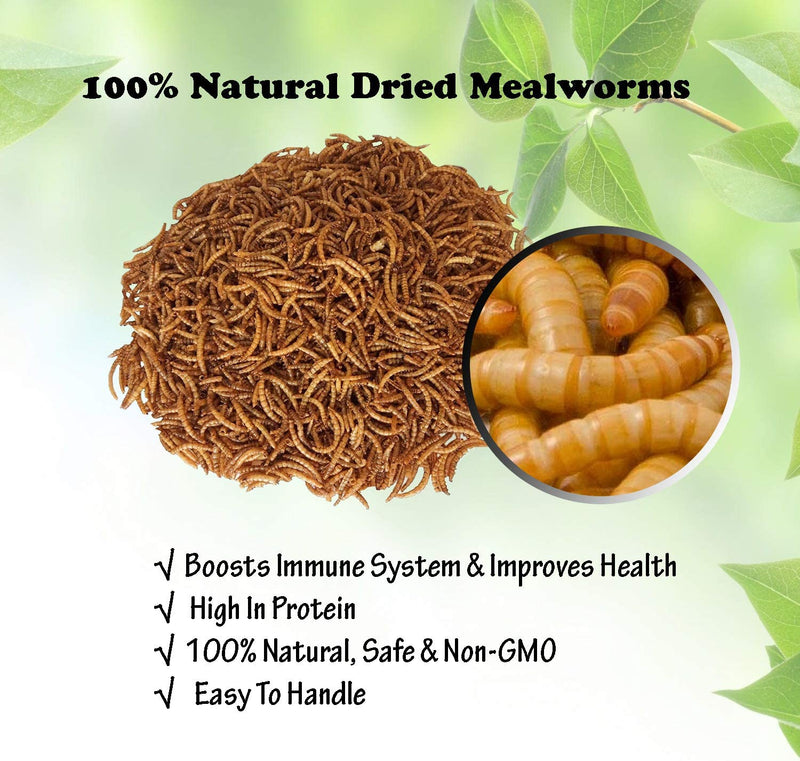 Dried Mealworms 11 LBS - 100% Natural for Chicken Feed, Bird Food, Fish Food, Turtle Food, Duck Food, Reptile Food, Non-Gmo, No Preservatives, High Protein and Nutrition Animals & Pet Supplies > Pet Supplies > Bird Supplies > Bird Food Amzey   