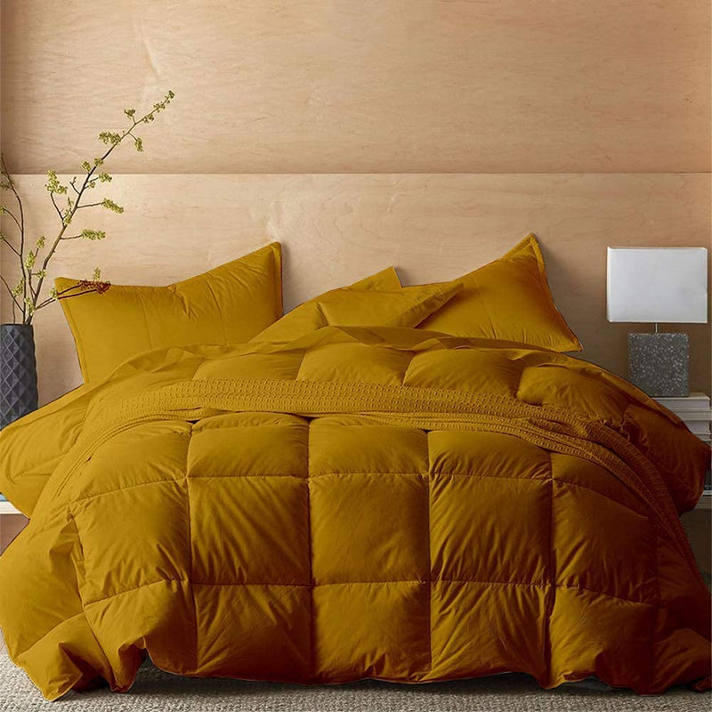 Comforter Bed Set - All Season Chocolate down Alternative Quilted Comforter Bed Set - 100% Cotton 800 Thread Count - Duvet Insert or Stand Alone Comforter - 3 Pcs Set - Oversized Queen Home & Garden > Linens & Bedding > Bedding > Quilts & Comforters BSC Collection Gold Super King 
