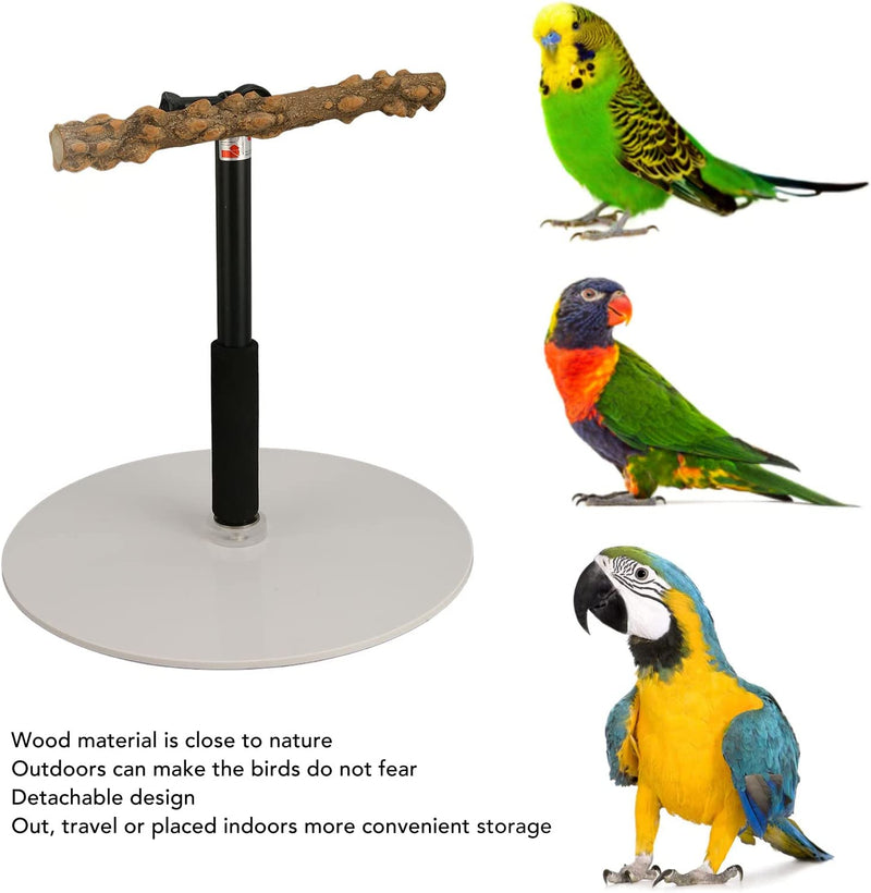 Yuehuam Wood Bird Perch Bird Training Stand Portable Tabletop Bird Perch Spin Training Perch Detachable Parrot Play Stand for Parakeets Conures Lovebirds or Cockatiels