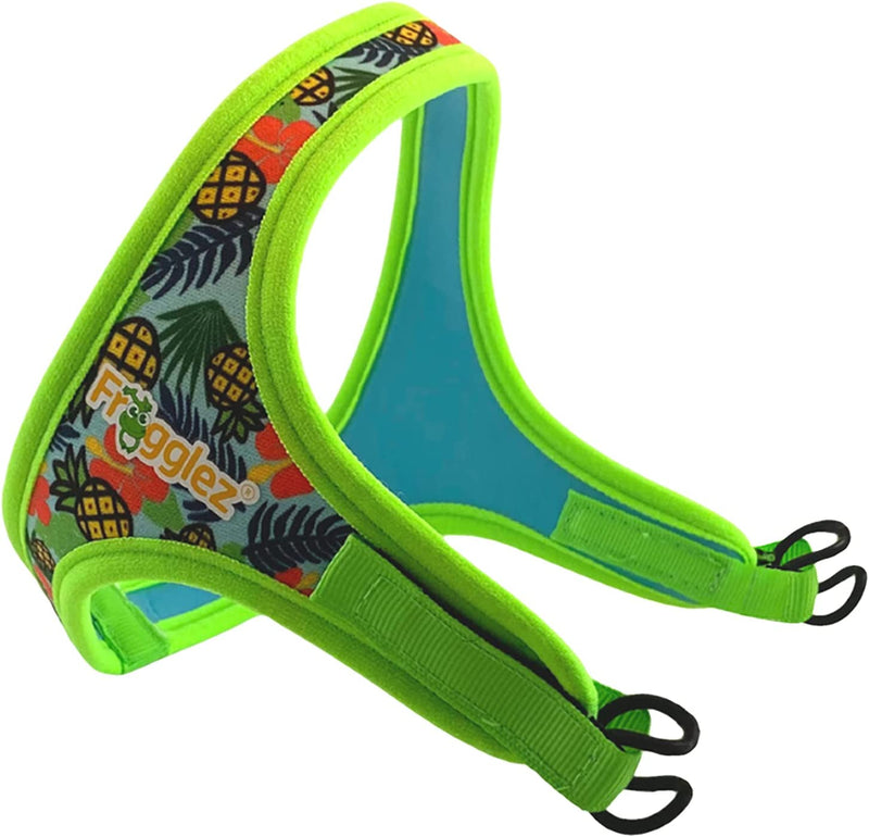 Frogglez Replacement Strap for Swim Goggles for Kids (Ages 3-10) Recommended by Olympic Swimmers; Premium Pain-Free Strap Sporting Goods > Outdoor Recreation > Boating & Water Sports > Swimming > Swim Goggles & Masks Frogglez Goggles Tropical Green  