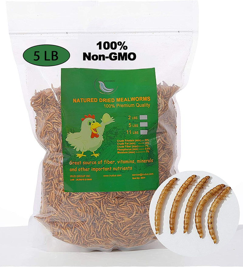 HANDMEN 6LB Non-Gmo Dried Mealworms,100% Natural High-Protein Large Mealworms for Wild Birds,Chicken, Fish,Reptile,Hamster,Bird Food Animals & Pet Supplies > Pet Supplies > Bird Supplies > Bird Food HANDMEN 5LB  