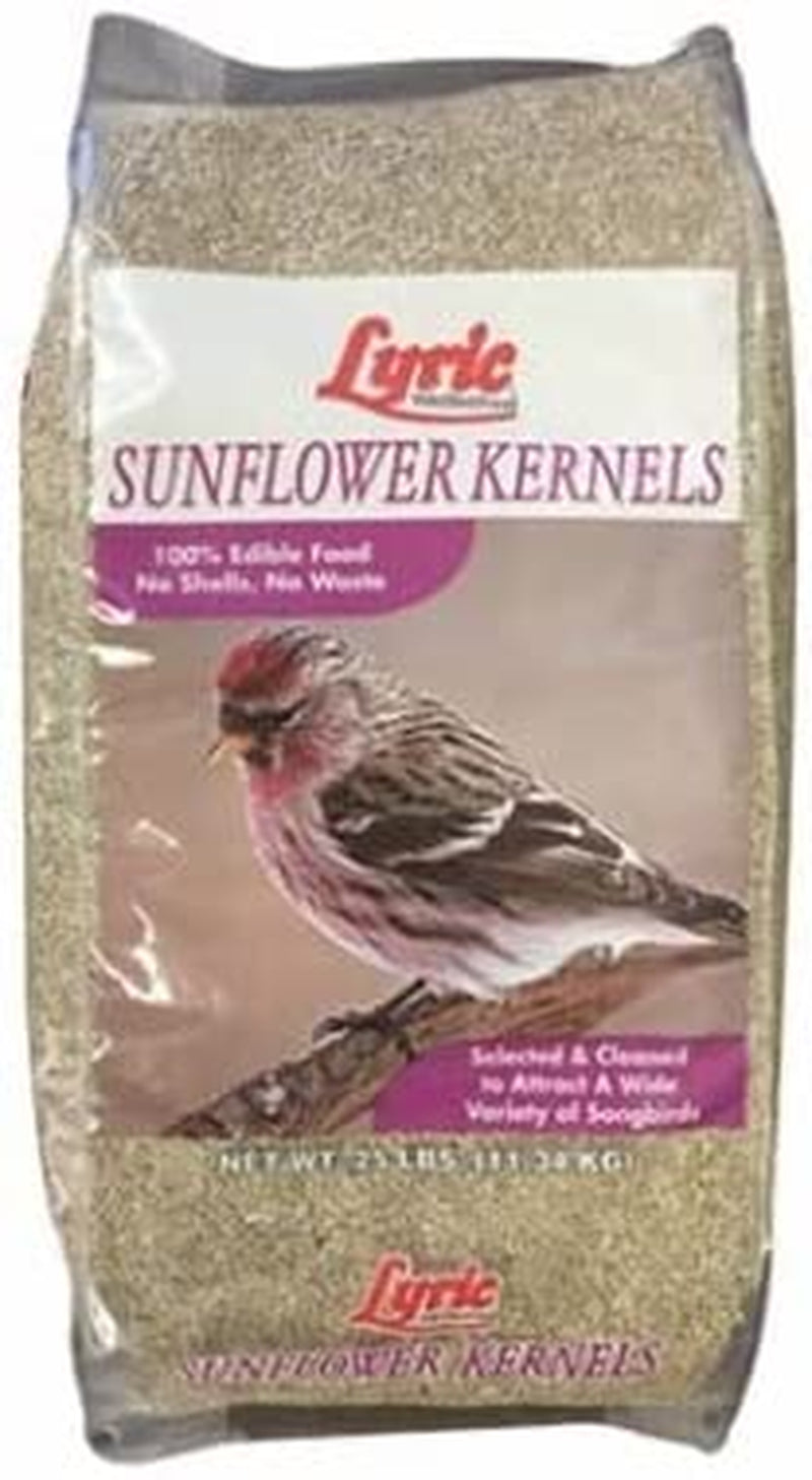 Lyric Sunflower Kernels Wild Bird Seed No Waste Bird Food Attracts Finches & More 25 Lb. Bag Animals & Pet Supplies > Pet Supplies > Bird Supplies > Bird Food Lyric Sunflower Kernels 25 lb. 