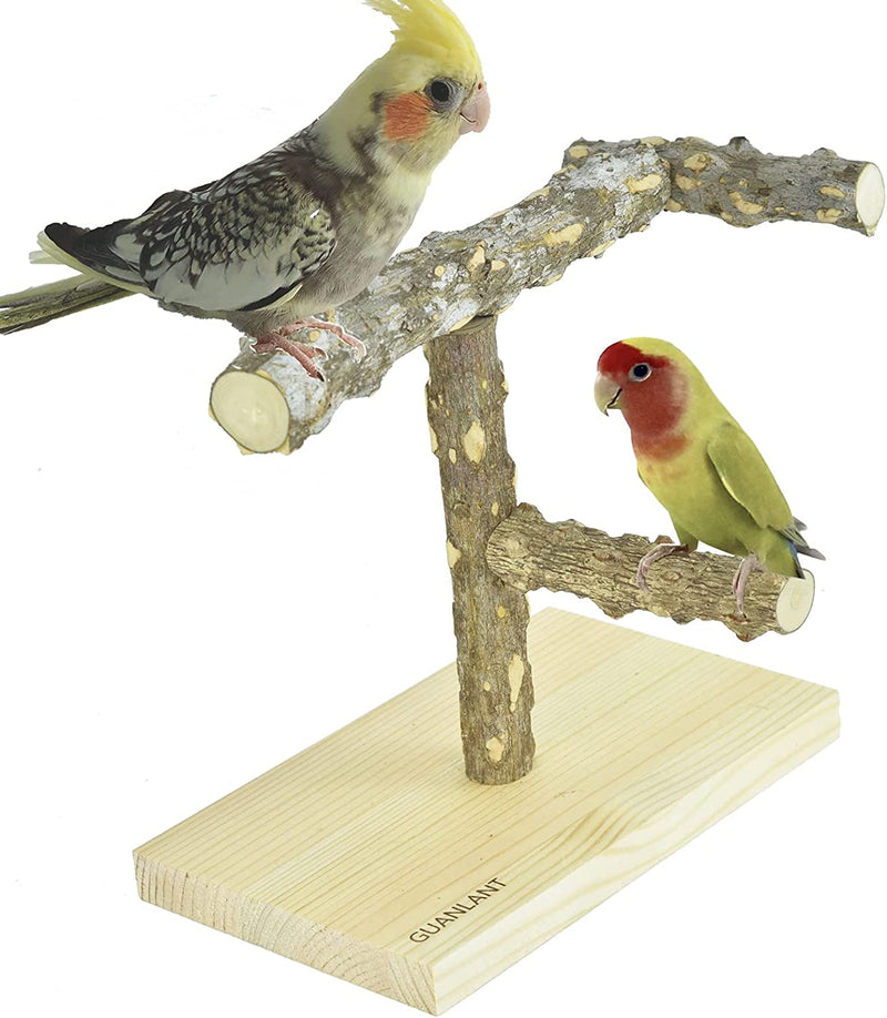Nature Wood Parrot Table Training Perches Stands, Birdcage Stands with Foraging Bell Toys, Birds Foot Toy Stands, Parakeet Playground Conure Table Scale Perches for Budgies Cockatiel Lovebirds Finch Animals & Pet Supplies > Pet Supplies > Bird Supplies GUANLANT M:multi-perches  