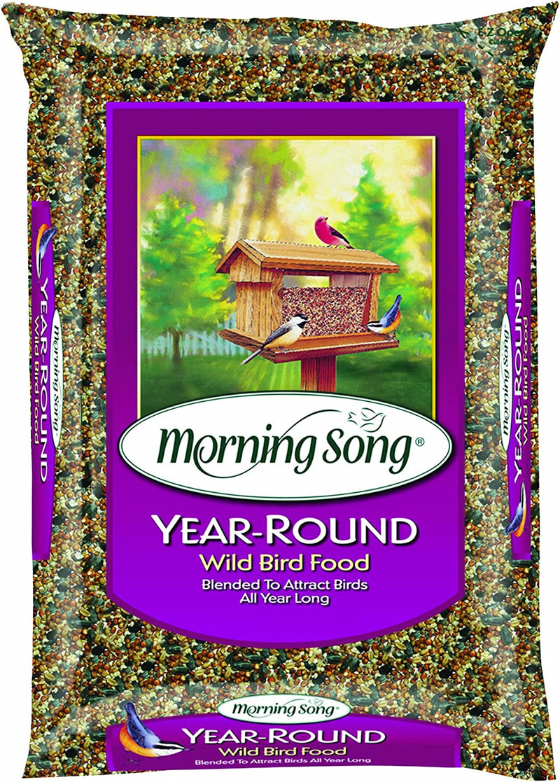 Morning Song 014203 1022526 Year-Round Wild Bird Food, 40-Pound, 40 Lb, Brown/A Animals & Pet Supplies > Pet Supplies > Bird Supplies > Bird Food Morning Song 5-Pound  