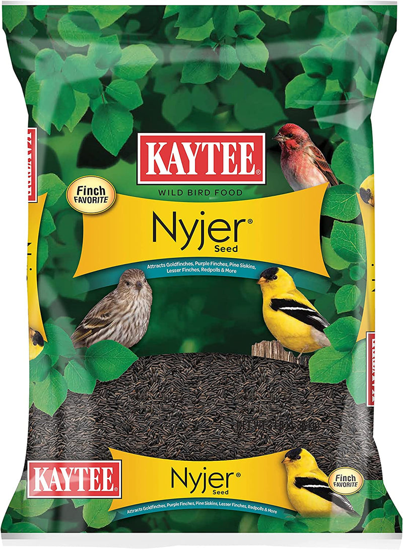 Kaytee Nyjer Wild Bird Food, 3 Pound (Pack of 1) Animals & Pet Supplies > Pet Supplies > Bird Supplies > Bird Food Central Garden & Pet   