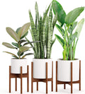 Fox & Fern Mid Century Modern Plant Stand, Plant Stand Indoor, Indoor Plant Stand, Plant Stands for Indoor Plants, Plant Holder, Corner Plant Stand - excluding Plant Pot - Acacia Wood - Fits 10" Pot Sporting Goods > Outdoor Recreation > Fishing > Fishing Rods Fox & Fern Acacia Family + Pots Family 