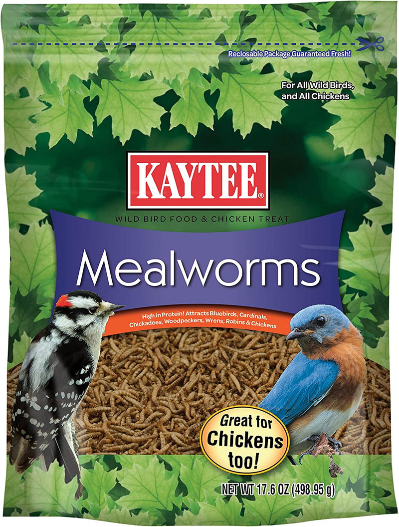 Kaytee Wild Bird Food Mealworms for Bluebirds, Wrens, Robins, Chickadees, Woodpeckers, Cardinals & Chickens, 17.6 Ounce