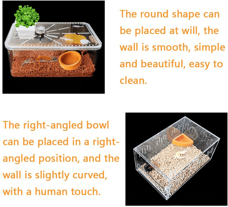 2PCS Reptile Food Dish Bowl Worm Water Dish Lizard Gecko Ceramic Pet Bowls, Mealworms Bowls Anti-Escape Mini Superworm Feeder Set with Long Tweezers Feeding Tools and Cleaning Tools Animals & Pet Supplies > Pet Supplies > Reptile & Amphibian Supplies > Reptile & Amphibian Habitats P-ABC   