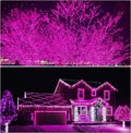 300 LED Valentines Day Decor Lights, 108Ft Plug in Pink Lights for Valentine'S Day, 8 Modes Pink Christmas Lights, Pink String Lights Outdoor for Valentines Decorations, Party, Wedding, Living Room Home & Garden > Lighting > Light Ropes & Strings ILLUMINEW 192led-pink net lights  