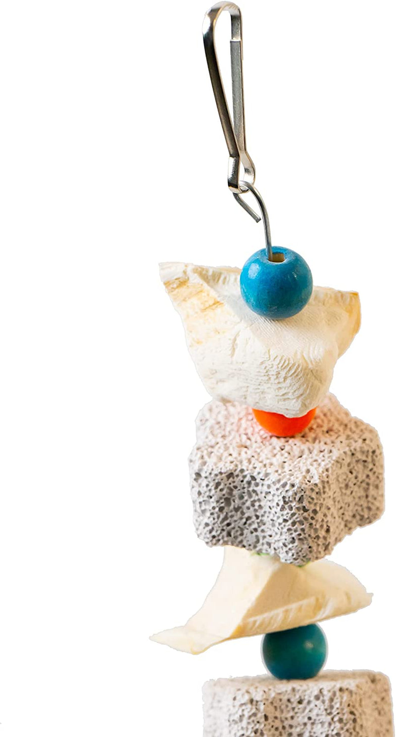 Parrot Chewing Toy Bird Beak Grinding Lava Stone Cuttlebone Block Set of 2 Bell Calcium Supplement Food African Greys Conure Eclectus Budgies Parakeet Cockatiel Hamster Chinchilla Rabbit 2 Pack Animals & Pet Supplies > Pet Supplies > Bird Supplies > Bird Toys DR. PARROT GREAT TIME FOR FULL FUN   