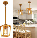 Sglfarmty 1 Pack Pendant Lighting for Kitchen Island, Cage Hanging Light Fixtures, Black Pendant Lights with Durable Glass Shade for Dining Room & Kitchen,Black Home & Garden > Lighting > Lighting Fixtures SGLfarmty Gold  