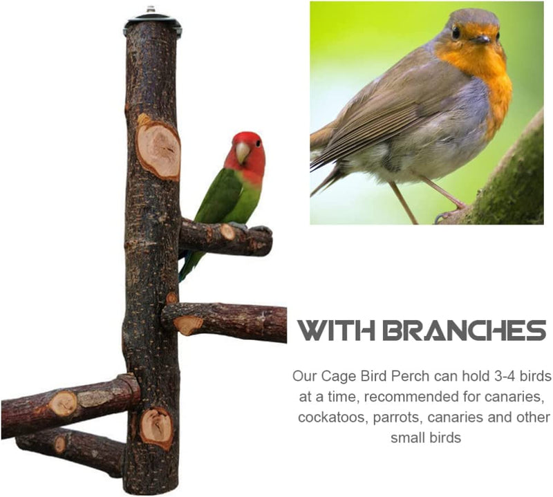 POPETPOP Wood Bird Perch for Bird Cages Parrot Stand Perch Paw Grinding Stick Perch Stand Exercise Playground Toys for Budgies Cockatiel Conure Parakeet Lovebirds 8Cm