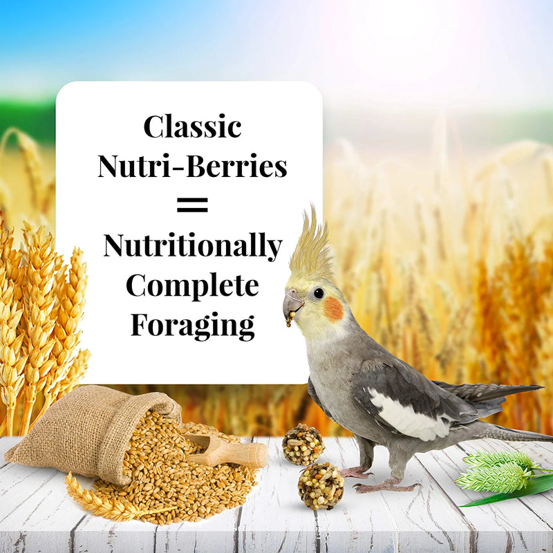 Lafeber Classic Nutri-Berries Pet Bird Food, Made with Non-Gmo and Human-Grade Ingredients, for Cockatiels, 4 Lb Animals & Pet Supplies > Pet Supplies > Bird Supplies > Bird Food Lafeber Company   