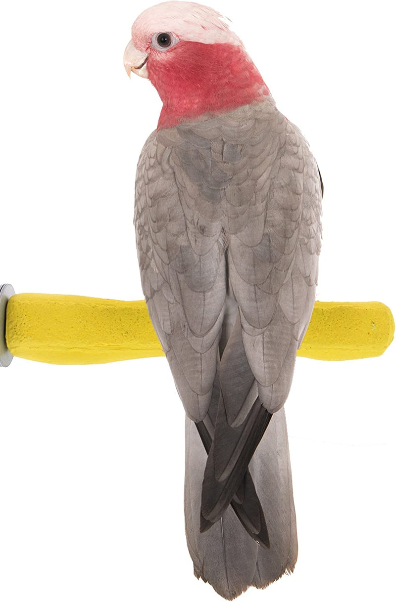 Sweet Feet and Beak Comfort Grip Safety Perch for Bird Cages - Patented Pumice Perch for Birds to Keep Nails and Beaks in Top Condition - Safe Easy to Install Bird Cage Accessories - M 8.5" Animals & Pet Supplies > Pet Supplies > Bird Supplies Sweet Feet and Beak Yellow Medium 8.5" 
