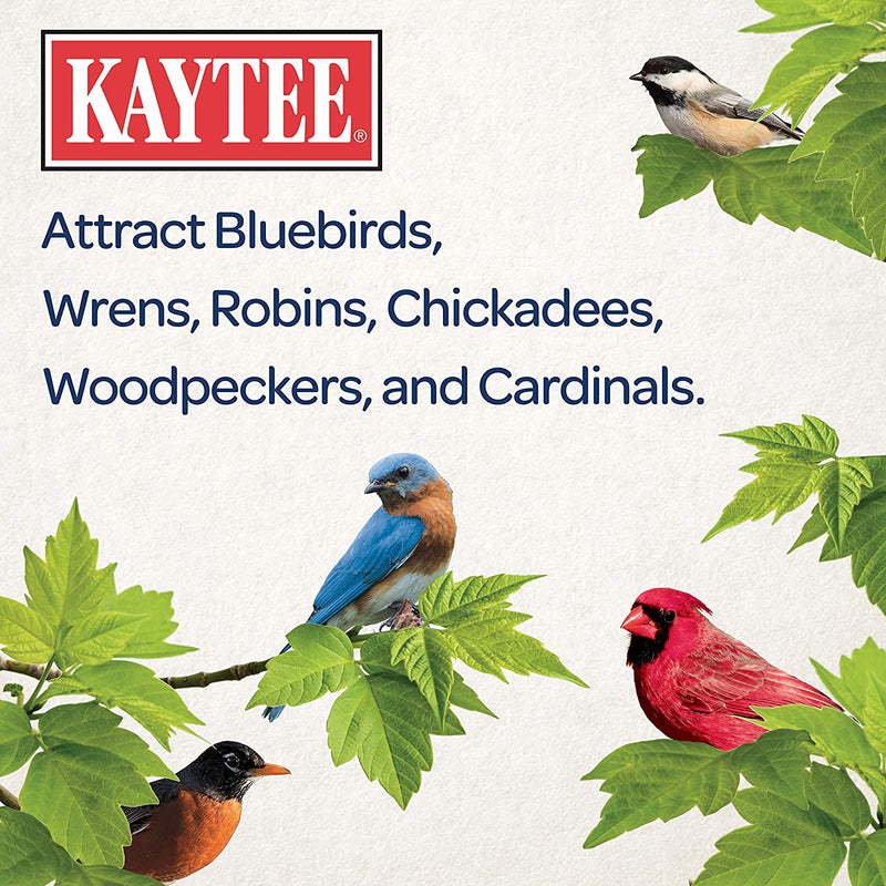Kaytee Wild Bird Food Mealworms for Bluebirds, Wrens, Robins, Chickadees, Woodpeckers, Cardinals & Chickens, 17.6 Ounce Animals & Pet Supplies > Pet Supplies > Bird Supplies > Bird Food Kaytee   