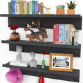 36 Inch Floating Shelves for Wall, Set of 3 in Walnut Brown, Modern Rustic Style, Wall Mounted Display Shelves, Picture Ledges by Icona Bay Furniture > Shelving > Wall Shelves & Ledges Icona Bay Iron Black 24" 
