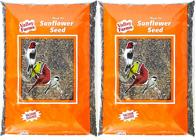 Valley Farms Black Oil Sunflower Seed - Wild Bird Food - Favorite Food of Many Songbirds (25 LBS) Animals & Pet Supplies > Pet Supplies > Bird Supplies > Bird Food Truffa Seed Co., Inc. 3 Pound (Pack of 2)  