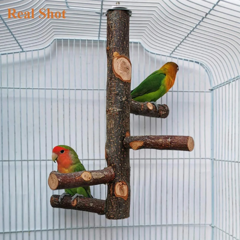 Kathson Parrots Perch Natural Fruit Wood Stand Toy Branch Paw Grinding Standing Climbing Toy Cage Accessories for Small and Medium Birds,Parakeets,Lovebirds,African Grey,Cockatiels