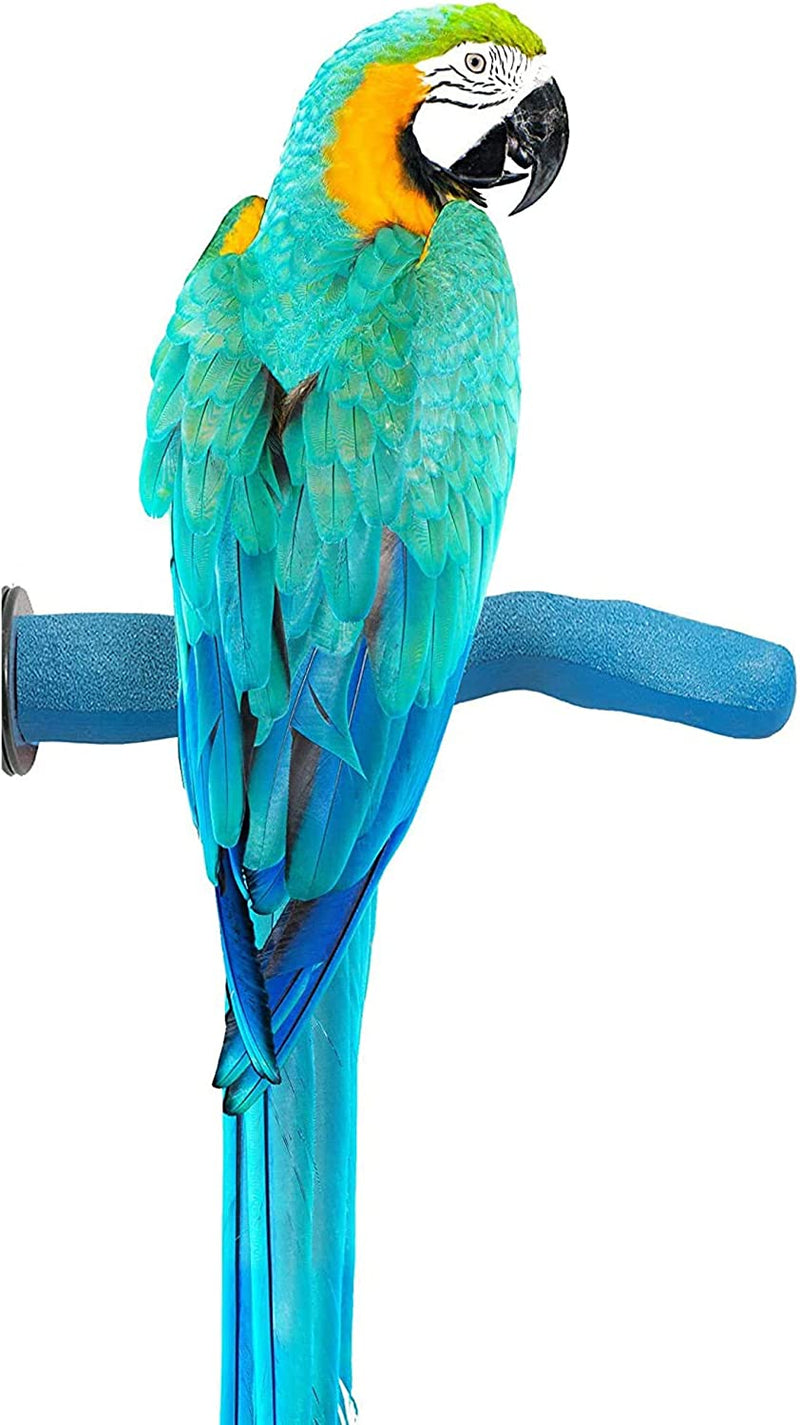 Sweet Feet and Beak Safety Pumice Perch Bird Toy - Trims Nails and Beak - Promotes Healthy Feet - Safe Non-Toxic Bird Supplies for Bird Cages - Medium 10" Animals & Pet Supplies > Pet Supplies > Bird Supplies > Bird Toys Sweet Feet and Beak Blue Large 12" 
