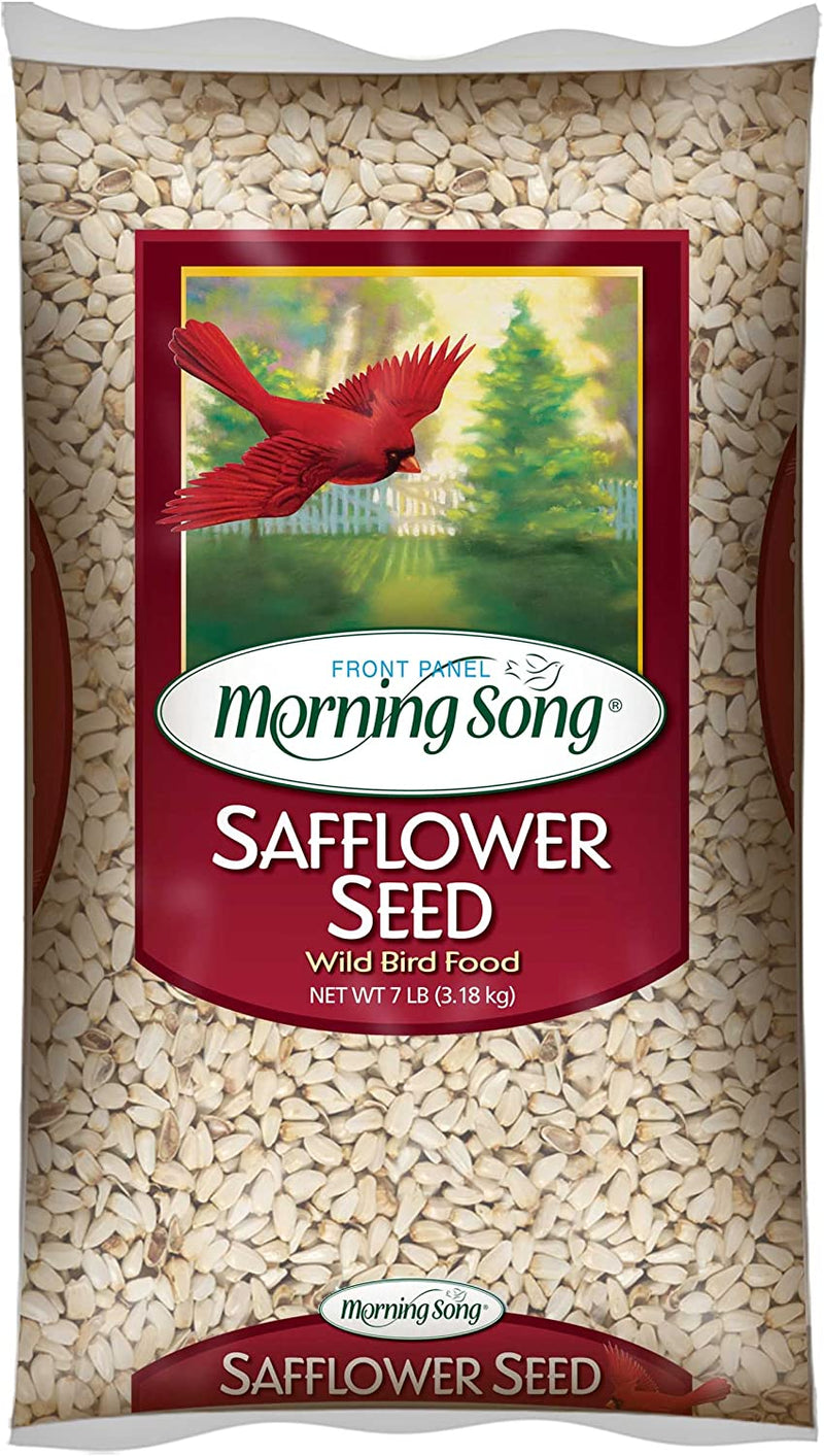Morning Song 11992 Safflower Seed Wild Bird Food, 7-Pound Animals & Pet Supplies > Pet Supplies > Bird Supplies > Bird Food Morning Song   