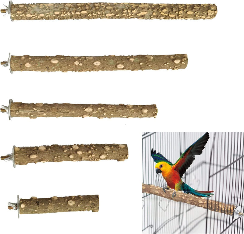5 Pcs Bird Perches of Different Lengths16″ 12″ 8″ 6″ 4″Parrot Stand Natural Wood Prickly Perches Parrot Toys Bird Cage Accessories for Conure Cockatiel Parakeet Animals & Pet Supplies > Pet Supplies > Bird Supplies ewori   