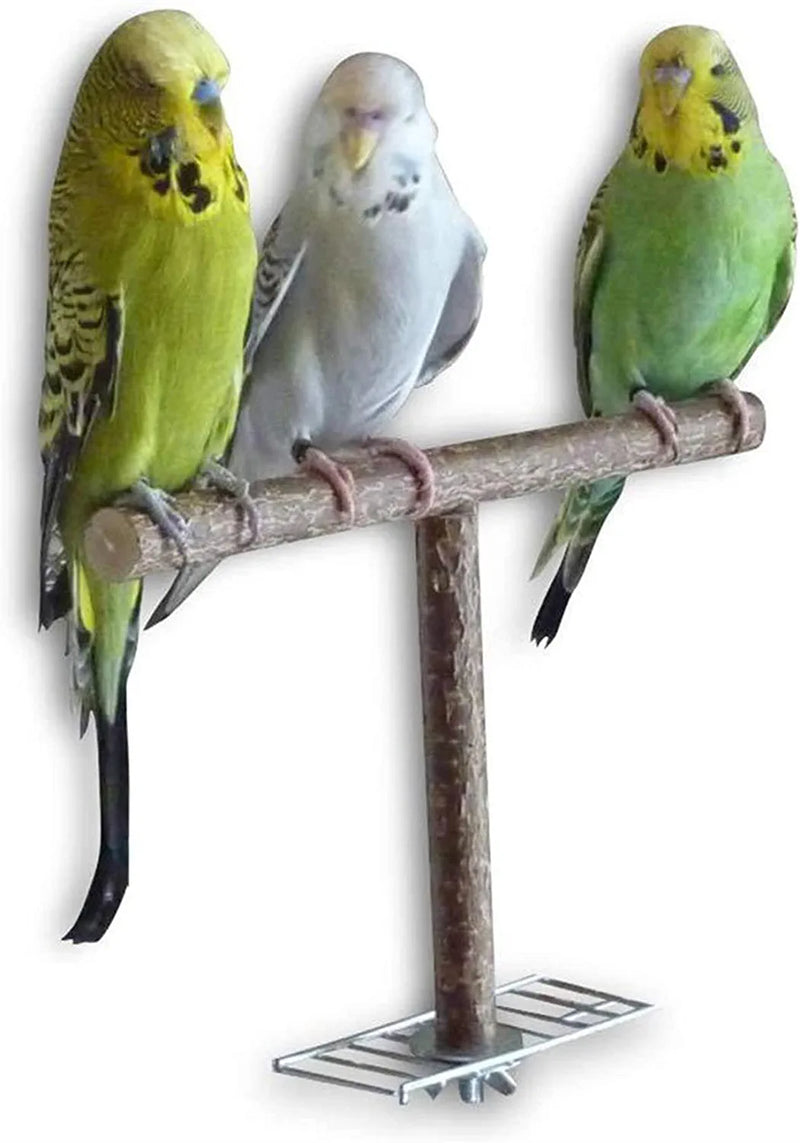 Shanlily Wood Bird Perches Parrot Stand Natural Perch Parakeet Toys Bird Cage Accessories for Bird Supplies Budgie Platform Animals & Pet Supplies > Pet Supplies > Bird Supplies ShanLily   