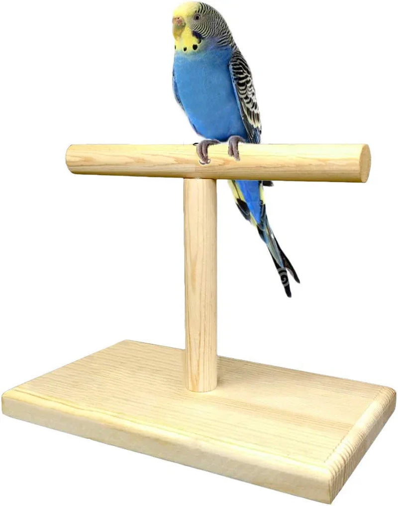LINSHRY Bird Training Stand, Portable Tabletop Bird Perch Spin Training Perch for Parakeets Conures Lovebirds or Cockatiels Animals & Pet Supplies > Pet Supplies > Bird Supplies LINSHRY   