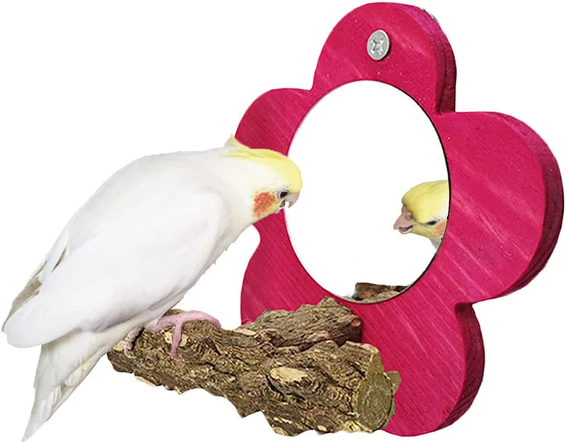 BIGCAKE Bird Mirror with Perch, Natural Parrot Stand Wooden Stick Toys for Small Parrot Canaries Parakeet Cockatiel Lovebird Conure Lorikeet Budgie Cockatoo Finch (Green) Animals & Pet Supplies > Pet Supplies > Bird Supplies > Bird Toys BIGCAKE Red  
